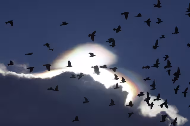 Este tipo de nubes son buenos indicadores del tiempo severo que se aproxima