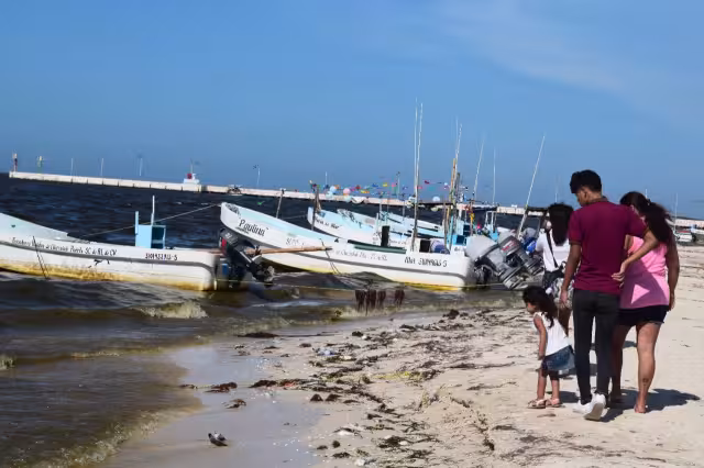 La marea roja apenas se encuentra en los primeros días de una larga travesía, señalan