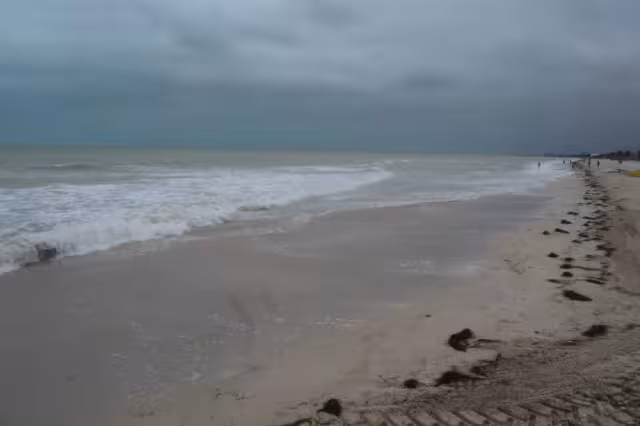 Las costas de Yucatán tienen este fenómeno anualmente