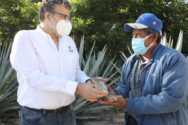 En representación de Mauricio Vila, el director de Agricultura de la Secretaría de Desarrollo Rural hizo la entrega de las abejas