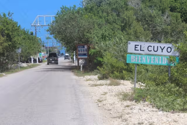 Pobladores de El Cuyo acusan que cada semana mueren más perros y gatos