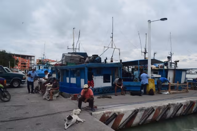 De acuerdo con pescadores, quienes más resentirán el periodo de prohibición de captura del pez y del molusco son quienes tengan que rehabilitar sus barcos