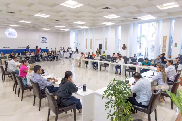 Para el Colegio de Arquitectos e Ingenieros y diversas cámaras, este decreto vulnera los derechos