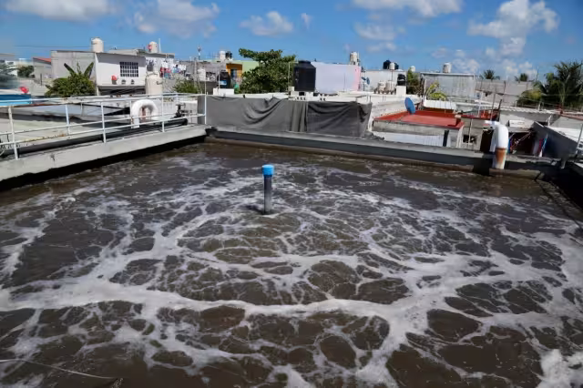 Los principales contaminantes son el nitrógeno y fósforo, compuestos orgánicos, bacterias fecales