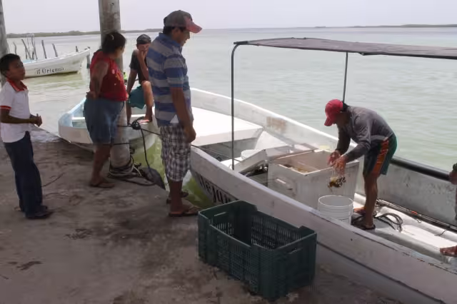 Pescadores esperan que azote un temporal que se lleve mar adentro enorme manchón amarillo