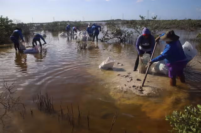 Estos trabajos son parte de un proyecto en coordinación con el Cinvestav
