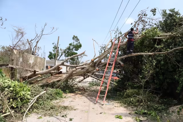 Es posible que no haya programa de deforestación. Foto: Jorge Delgado