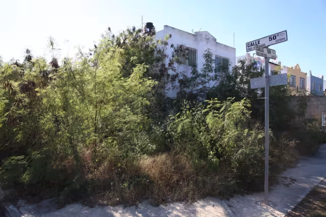 Juan Pablo II, Caucel y Francisco de Montejo, las colonias con más terrenos baldíos