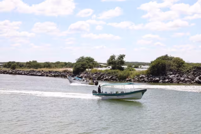 El desarrollo urbano de Isla Arena influye en condición inapropiada del medio ambiente de Celestún