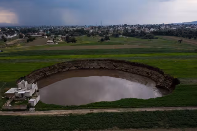 Los perritos Spay y Spike fueron rescatados tras caer al socavón