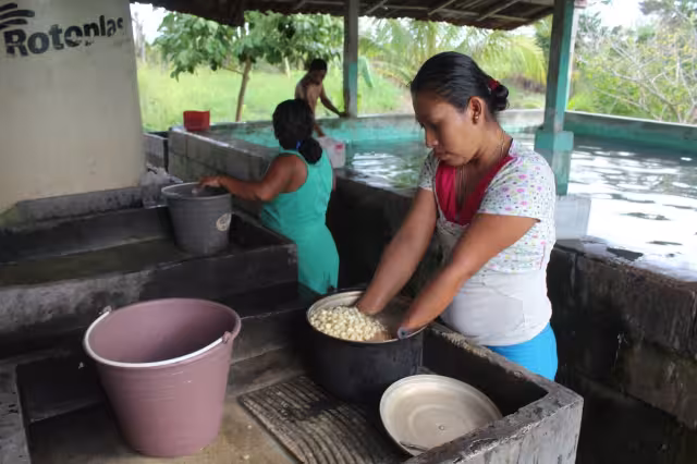 Mujeres cañeras haciendo labores del hogar