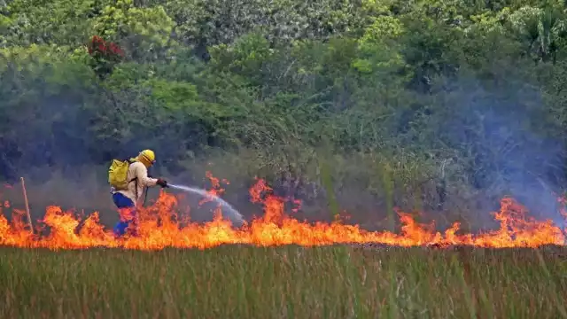 Los incendios han incrementado en 2022