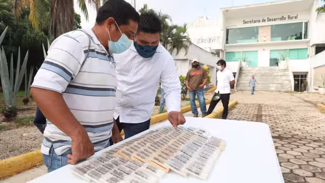 La Seder hizo entrega de 60 paquetes de abejas reina en el municipio de Peto