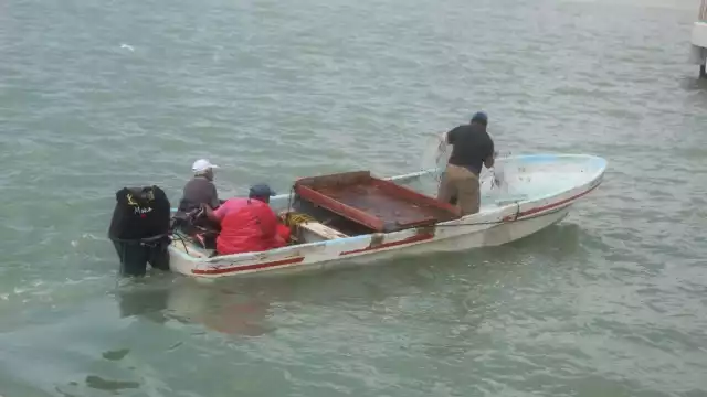 Según el informe, se tienen 12 robos motores fuera de borda a embarcaciones de pesca, así como 120 paños de redes