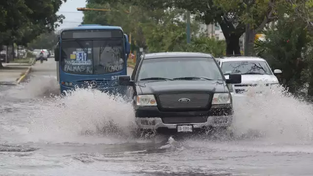 Foto: Jorge Delgado.