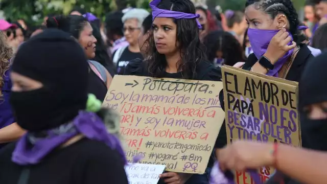 Recalcaron que aún está pendiente corregir imprecisiones en la ley, como la eliminación de plazos en casos de violación