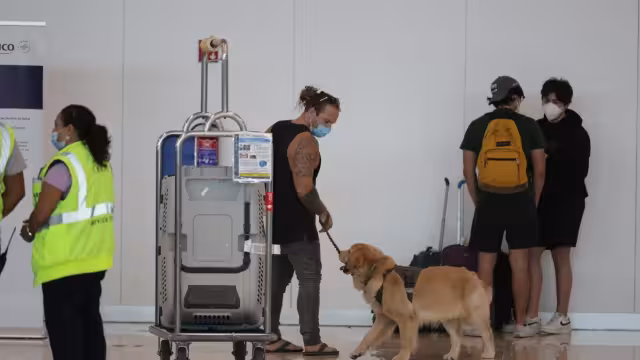 Con sus aditamentos llamó la atención rápidamente