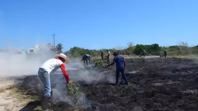 Debido al viento y las altas temperaturas la quema de hierba se salió de control provocando un incendio en la zona costera
