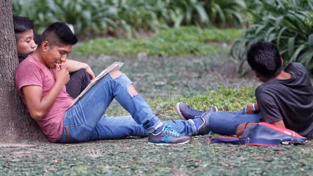 En las conclusiones de la investigación exponen que el fenómeno de los jóvenes “nini” es una realidad en las comunidades rurales de Campeche