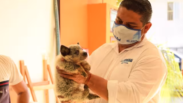 El candidato Luis Fernández creará espacios para los animalitos en situación de calle