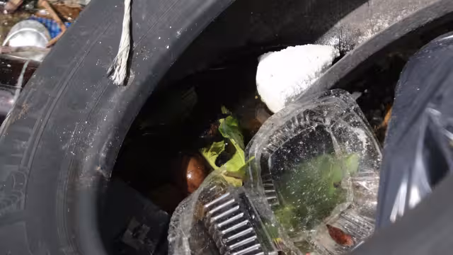 FOTOS: Jorge Delgado