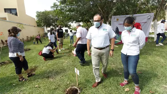 En este primer espacio se colocaron más de 20 plantas y se invitó a los vecinos a reforestar