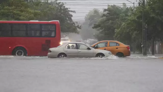 FOTOS: Jorge Delgado