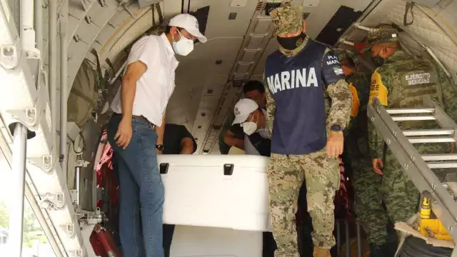 Las vacunas serán aplicadas a la población que ha sido previamente registrada y seleccionada por medio de las plataformas del Gobierno federal