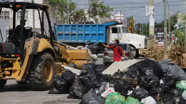 Para la recoja varios trabajadores del ayuntamiento fueron habilitados. Foto: Erick Marfil