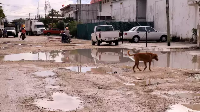 Casetas de policías, parques y avenidas lucen en pésimo estado