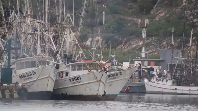 Los camaroneros señalaron que la veda afecta sus economías directamente. Foto:  Lucio Blanco