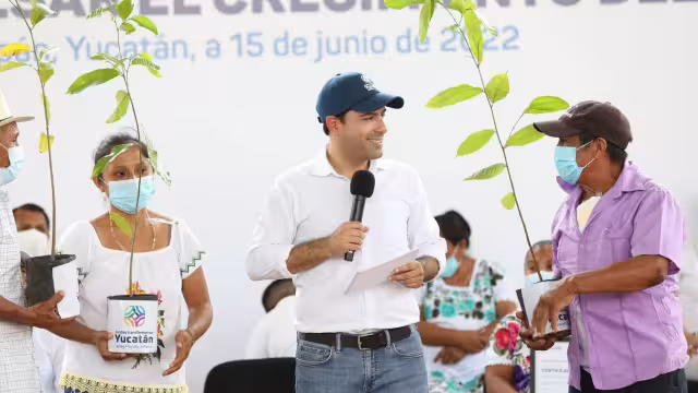 Mauricio Vila entregó árboles de ramón para reforestar el estado