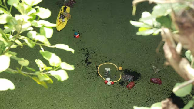 La Federación emitirá un decreto para que las fábricas dejen de dañar a los cenotes