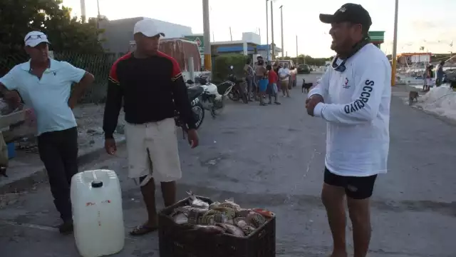 De acuerdo con los pescadores, el precio por kilogramo podría llegar a los 740 pesos