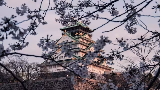 Castillo japonés
