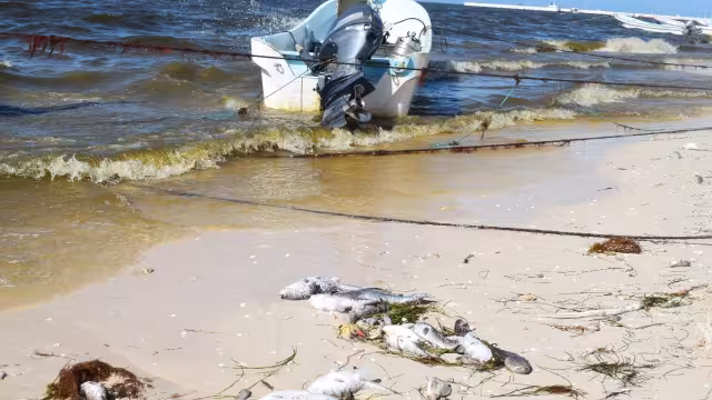 Bañistas buscan otros lugares para poder bañarse en el mar