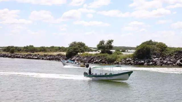 El desarrollo urbano de Isla Arena influye en condición inapropiada del medio ambiente de Celestún