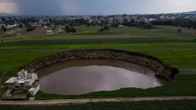 Los perritos Spay y Spike fueron rescatados tras caer al socavón
