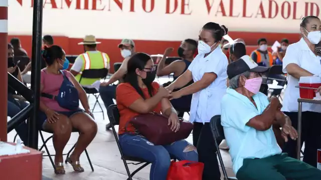 La aplicación comienza este 14 de febrero
