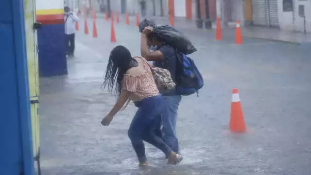 Árboles caídos, corte de energía, inundaciones, son algunas de las afectaciones más comunes durante la temporada de lluvias