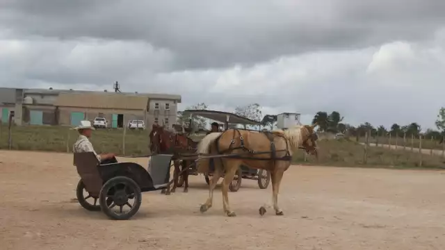 Nuevo Salamanca, hogar de los menonitas en Bacalar, Quintana Roo