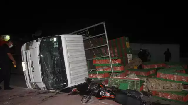 Los pollos terminaron regados en la comisaría de Colonia Yucatán en Tizimín