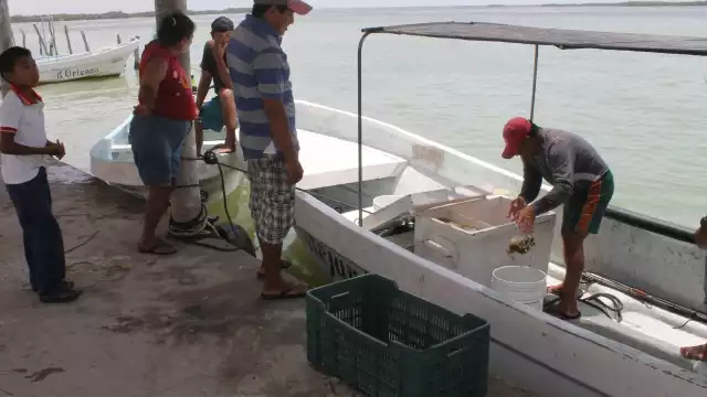 Pescadores esperan que azote un temporal que se lleve mar adentro enorme manchón amarillo