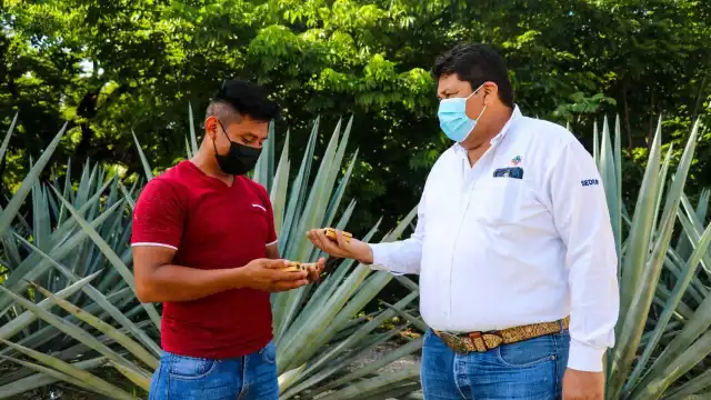 Las comisarías beneficiadas, son: Kinchil, Sinanché, Kantunil, Hoctún, Halachó, Tetiz y Tekik de Regil.