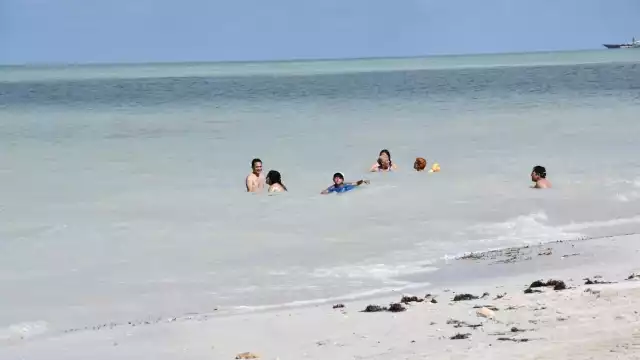 Las playas de Campeche se encuentran en condiciones aptas para el uso recreativo