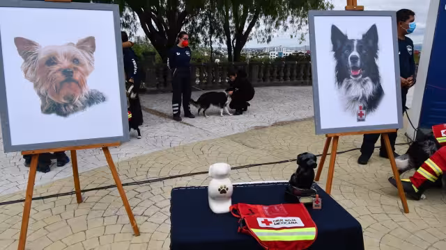 Benjamín ‘N’ podría pasar hasta 18 años en la cárcel por envenenar a Athos y Tango