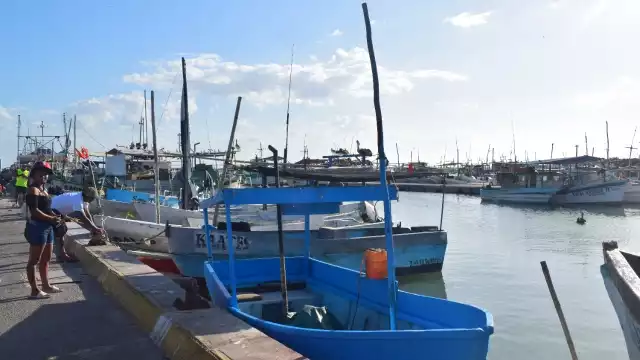 Pescadores de Progreso afirman las congeladoras buscan sardina para la temporada de mero
