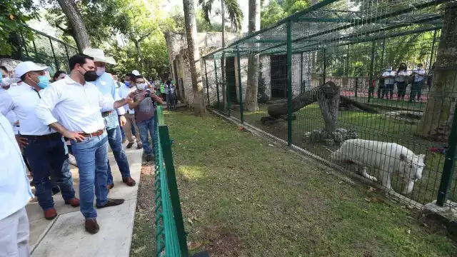 EL gobernador Mauricio Vila viajará con la secretaria de Desarrollo Sustentable Sayda Rodríguez