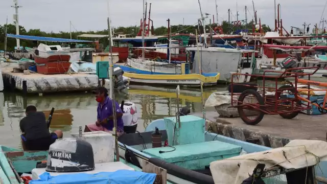 En la comunidad, alrededor de mil 500 pescadores no han podido salir a la captura de especies de escama por los efectos del fenómeno climatológico