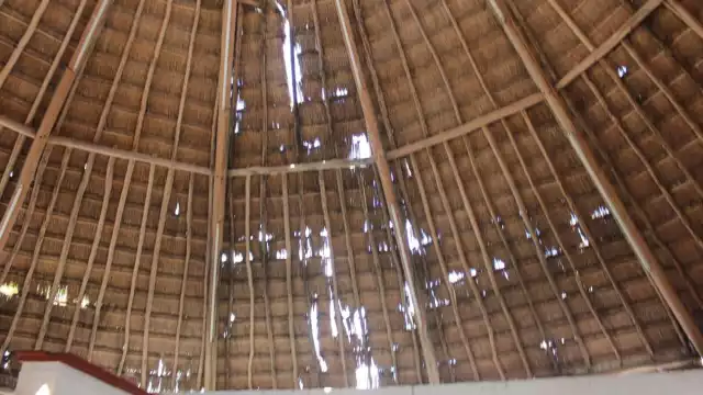 Foto: Pedro Hernández